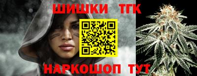 спиды Камышлов