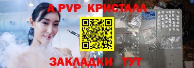 2c-b Кингисепп