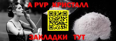 спиды Камышлов