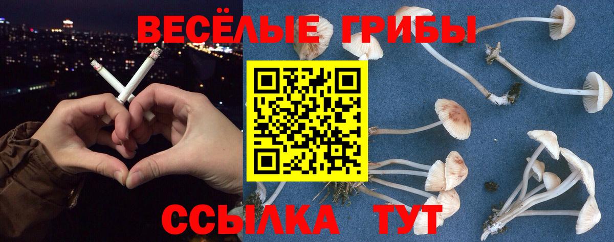 Псилоцибиновые грибы мухоморы  Вход с VPN  Шебекино  Псилоцибиновые грибы Cubensis 